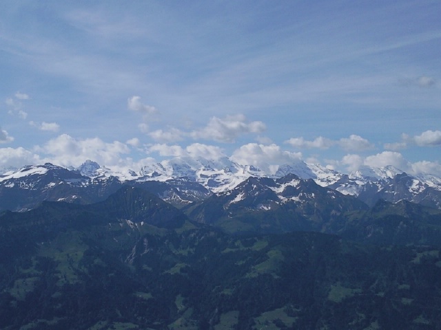 Foto3624.jpg